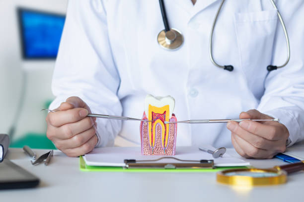 Best 24-Hour Emergency Dental Care in Central Gardens, TX